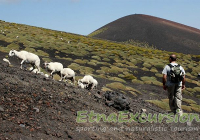 Agenzia/operatore Turistico Escursioni Etnaexcursion